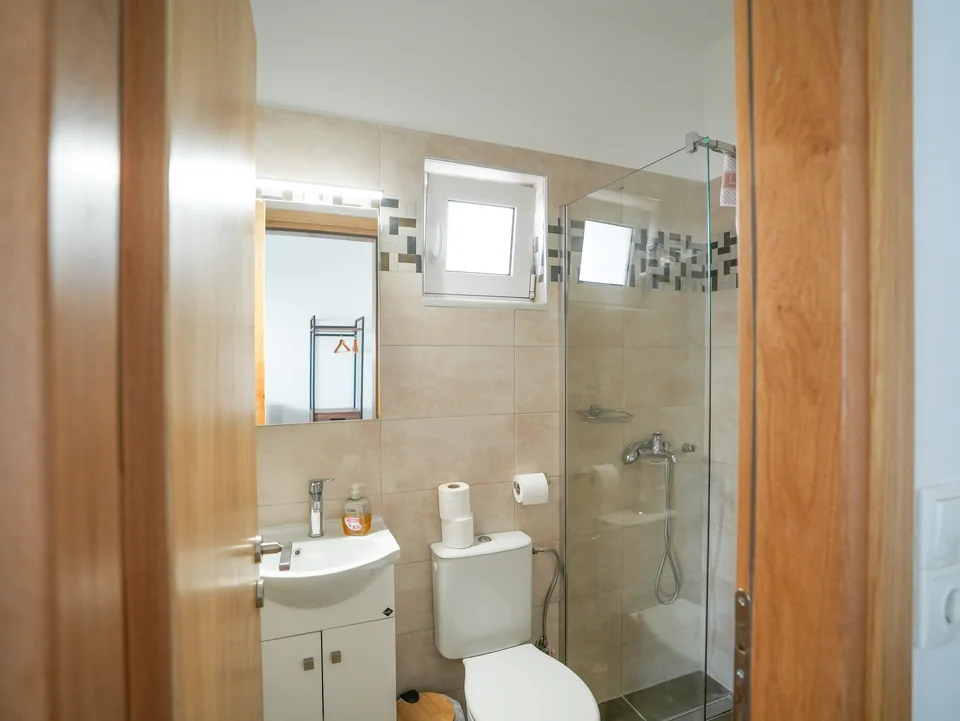 Shower cubicle and washbasin in the studio bathroom